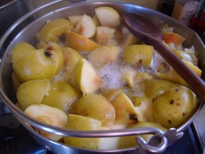 Apples boiling up for jelly