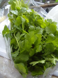 yummy coriander