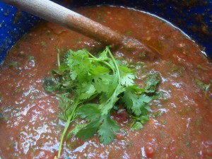 salsa 