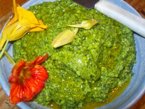 Nasturtium Pesto The Green Apron