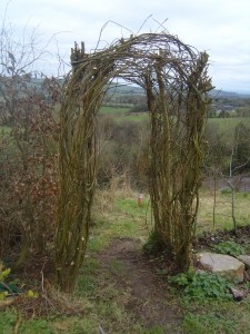 willow arch